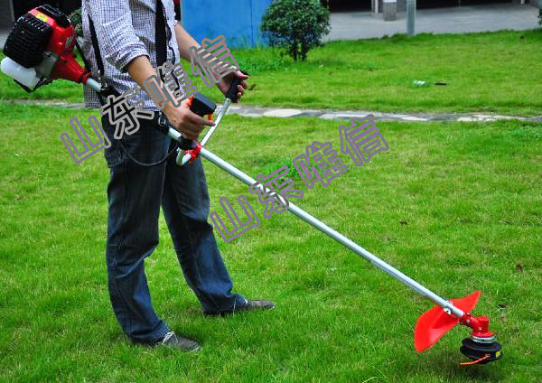 43CC Stock Grass Brush Cutter Clearing Saw