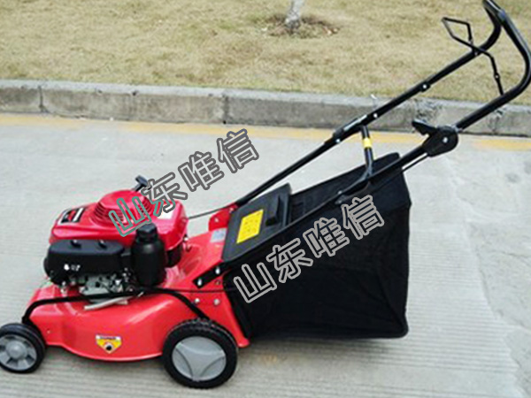 Gasoline Lawn Mower