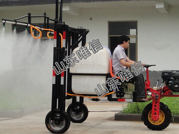 Agricultural Tricycle Fruit Trees Sprayers