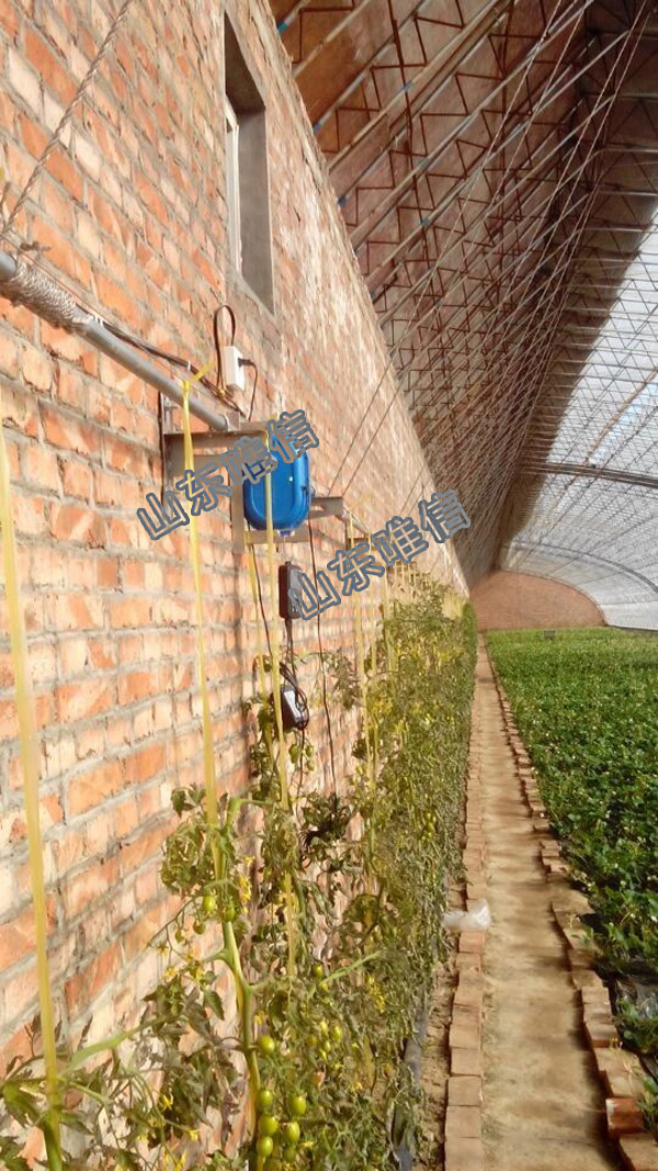 Agricultural Greenhouse Intelligent Digital Temperature And Humidity Controller