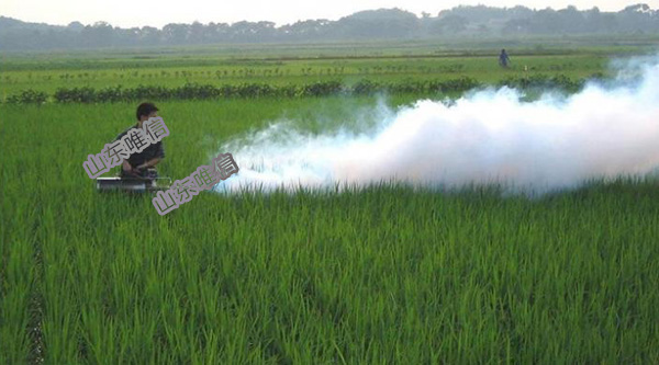 Portable Mosquito Killer Fogging Machine / Fumigation Fogger