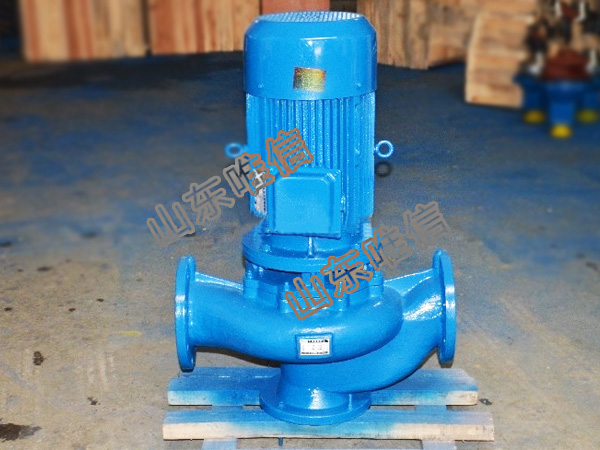 GW Pump Pipes Type Sludge Pump