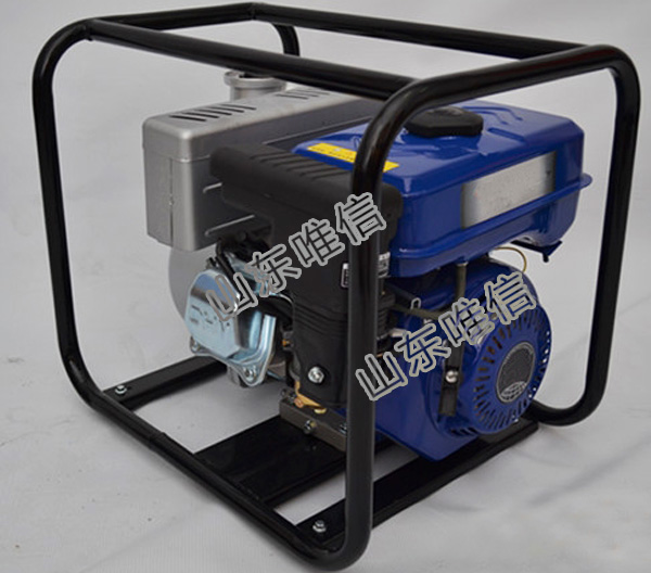3 Inch Agricultural Irrigation Gasoline Water Pump