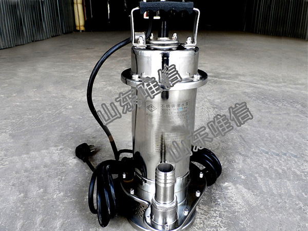 Small Stainless Steel Electric Submersible Water Pump
