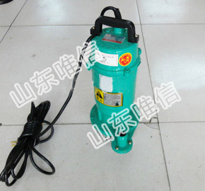 QDX Submersible Pump 1 Inch Water Pumps