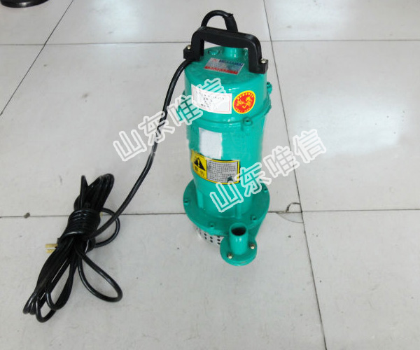 QDX Submersible Pump 1 Inch Water Pumps