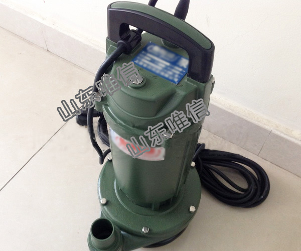 QDX Submersible Pump 1 Inch Water Pumps