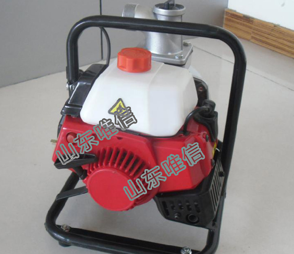 Wp-40 4 Inch Gasoline Water Pump (4