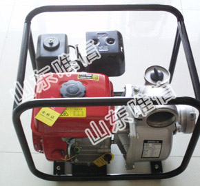 Wp-20 5.5HP Gasoline Motor Agricultural Irrigation Water Pump for Sale 
