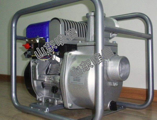 Wp-20 5.5HP Gasoline Motor Agricultural Irrigation Water Pump