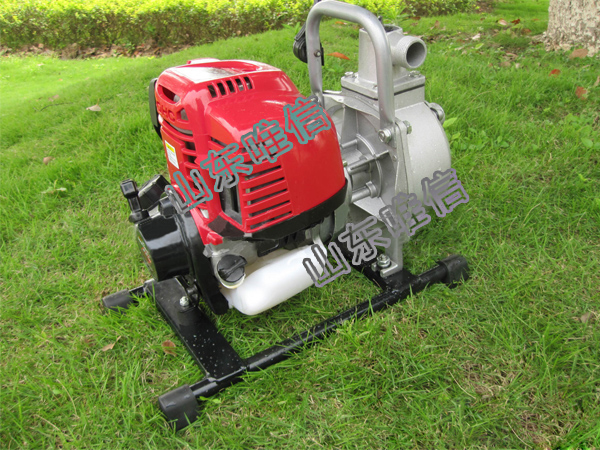 WP-10 Gasoline Power Water Pump