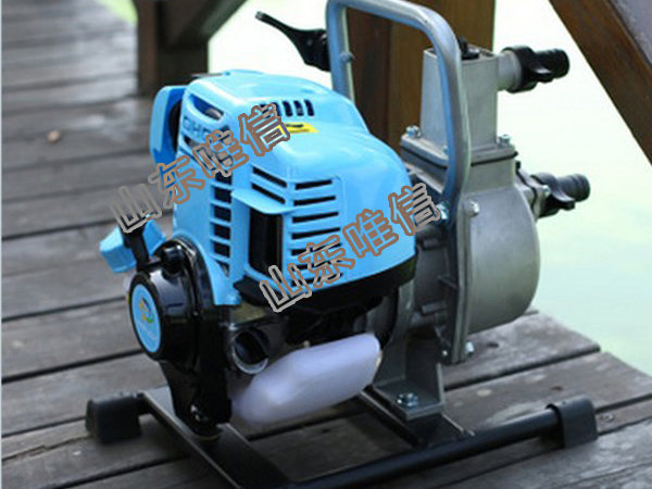 WP-10 Gasoline Power Water Pump