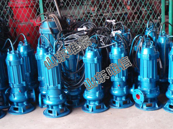 Submersible No Clogging Sewage Pump