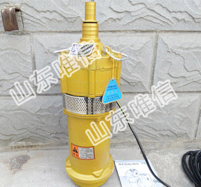 Oil Immersed Submersible Pump