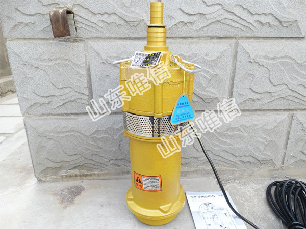 Oil Immersed Submersible Pump