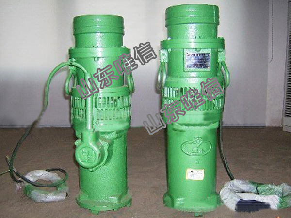 Oil Immersed Submersible Pump