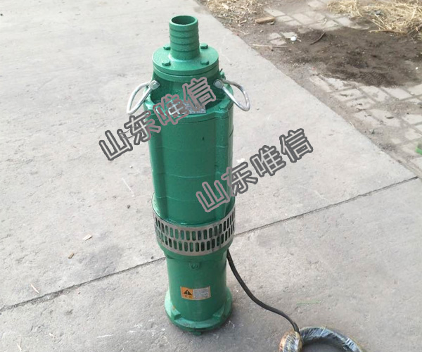 Oil Immersed Submersible Pump