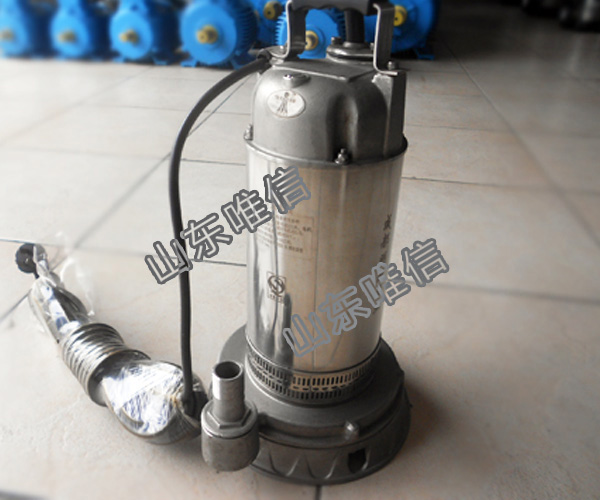 Stainless Steel Submersible Sea Water Pump