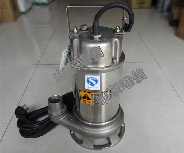 Stainless Steel Submersible Sea Water Pump