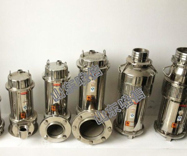 Stainless Steel Submersible Sea Water Pump