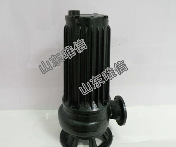 Electric Submersible Sewage Water Pump