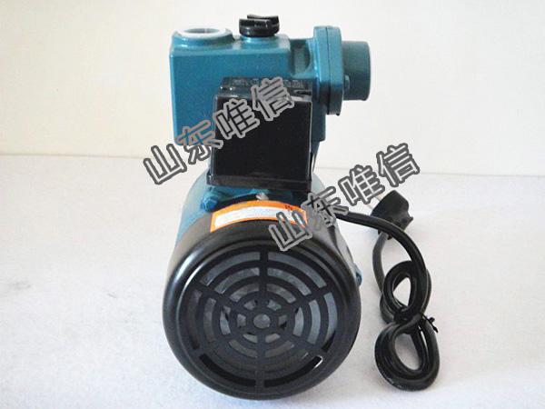 Smart Numerical Control Self-priming Pump