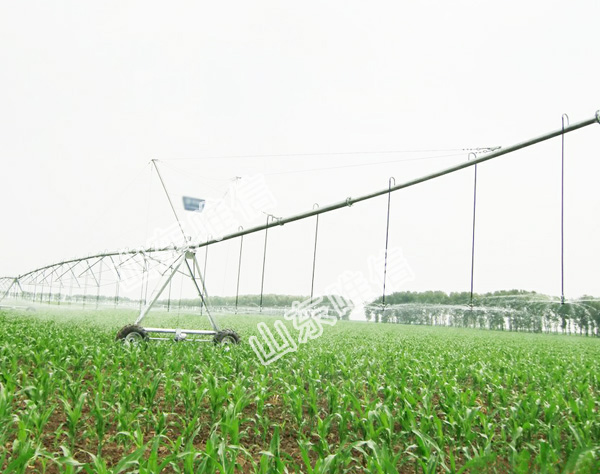 Electricity Sprinklers Centre Pivot Irrigation System