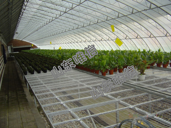 Greenhouse Seedbed Customized