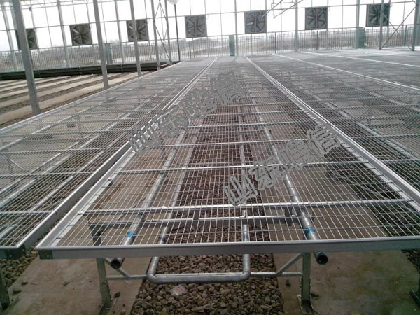 Movable Seedbed for Agricultural Greenhouse