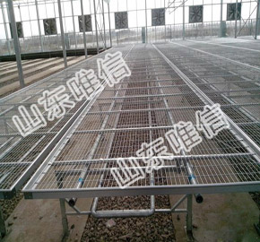 Movable Seedbed for Agricultural Greenhouse