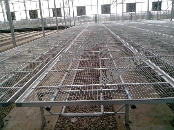 Aluminum Fixed Greenhouse Seedbed For Vegetables Planting And Flower 