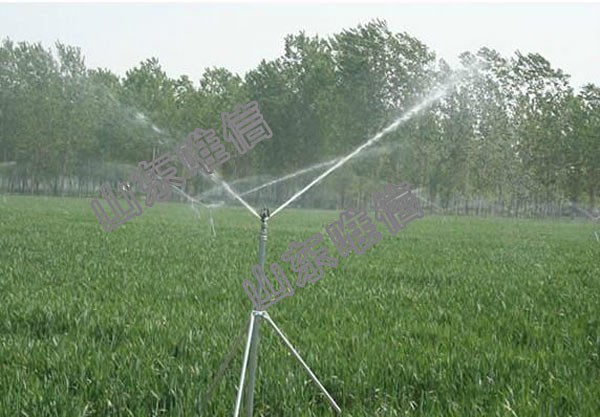 Field Sprinkler Irrigation Used in Farm