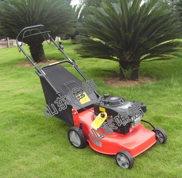 Gasoline Lawn Mower with Honda GXV160 Original Engine