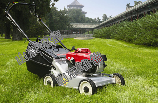 Gasoline Lawn Mower with Honda GXV160 Original Engine