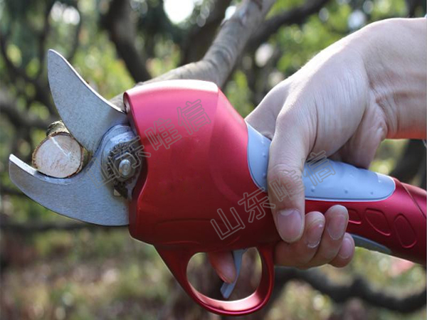 Fruit Tree Electric Pruning Shear With Li-Battery