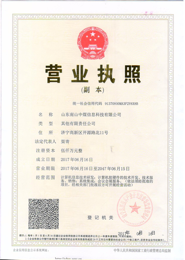 Shandong Nanshan Zhongmei Information Technology Co., Ltd. Formally Established