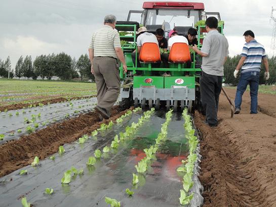 What Is Multifunction Farm Ridging Film Mulching Machine ?