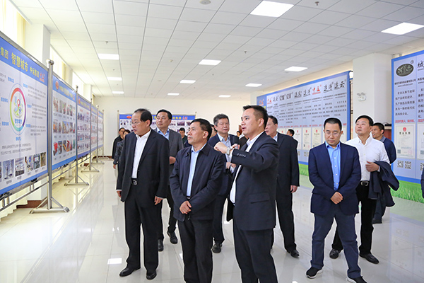 Warmly Welcome Hebi Municipal Party Committee Secretary Fan Xiufang And Mayor Guo Hao To Visit Shandong Weixin For Inspection