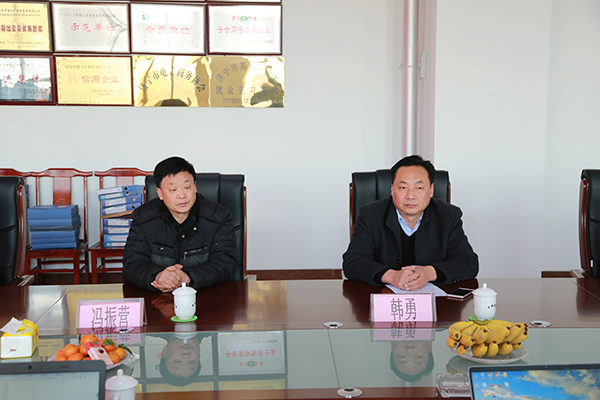 Warmly Welcome The National Coal Safety Expert Group ToShandong Weixin On-Site Review