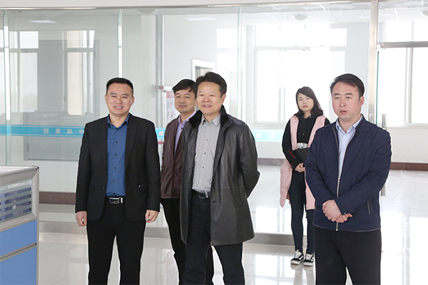 Warmly Welcome China Coal Science And Technology Group Manager Xu And His Entourage Visit Shandong Weixin