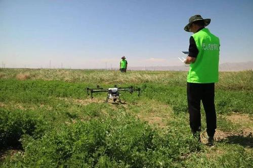 Shortage of Unmanned Aerial Vehicle Hands in Plant Protection