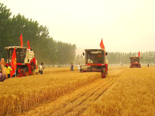 Five Characteristics Of Farm Wheat Combine Harvester In Shandong