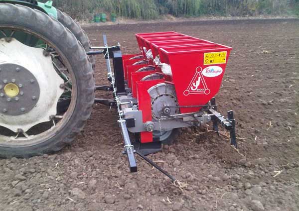 Planting Garlic Without Worry Sowing Can Be Mechanized