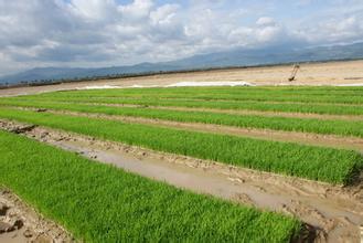 Agriculture Touches The Bottom Of The Family With High Technology