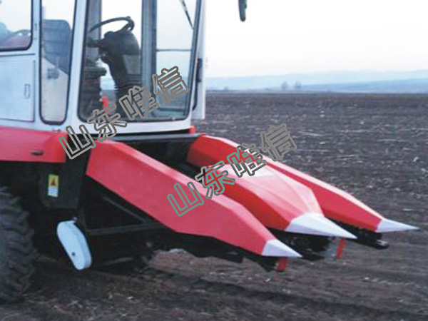 Precautions During Harvesting Of Agricultural Farm Corn Combine Harvester