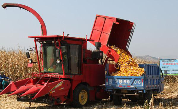 Holding A Demonstration Meeting Of Farm Corn Combine Harvester