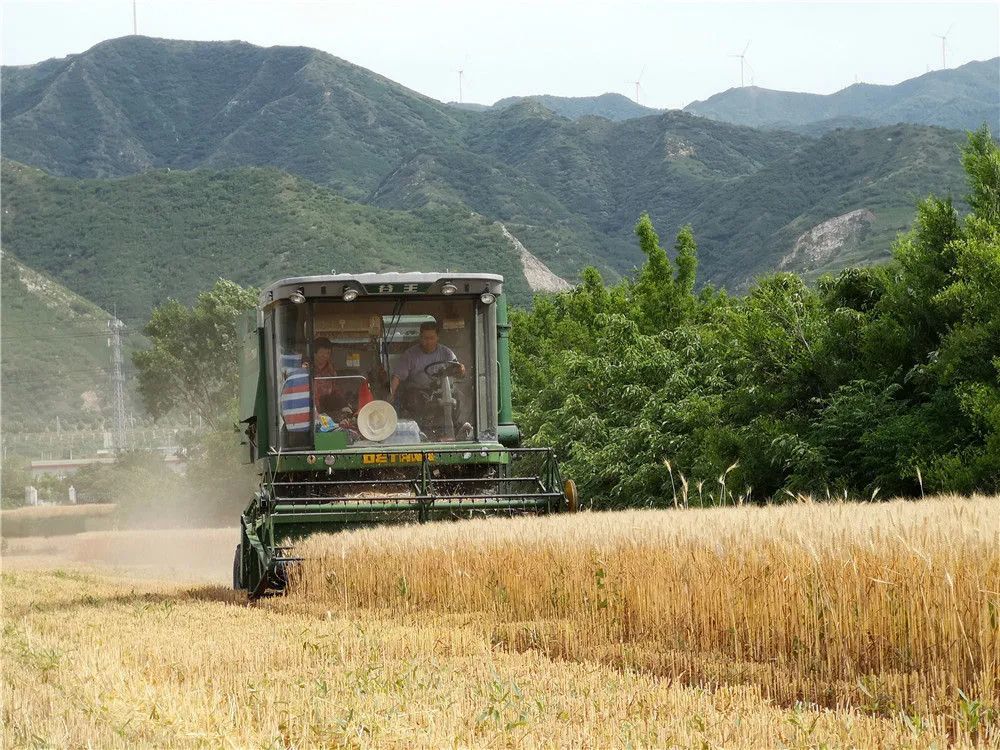 Some Measures To Reduce The Wear Of Farm Corn Combine Harvester Parts