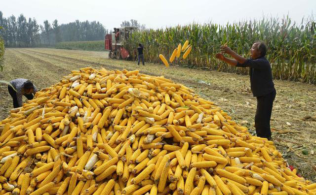 Some Measures To Reduce The Wear Of Farm Corn Combine Harvester Parts