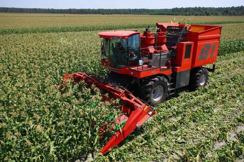 Knapsack And Self Propelled Corn Harvester Jointly Perform Wonderful