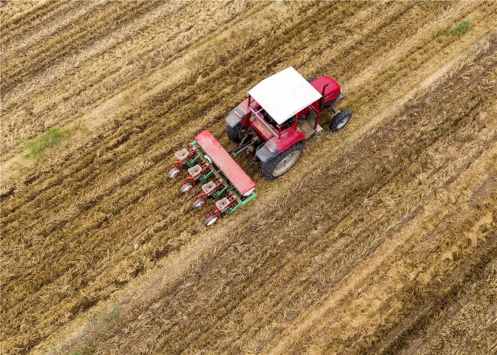 The Demand For Large-Scale Farm Corn Combine Harvester Has Changed